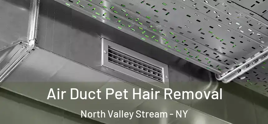  Air Duct Pet Hair Removal North Valley Stream - NY