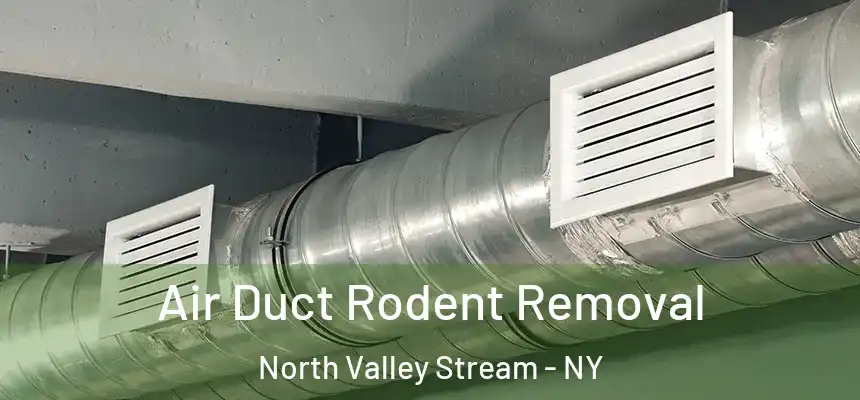  Air Duct Rodent Removal North Valley Stream - NY