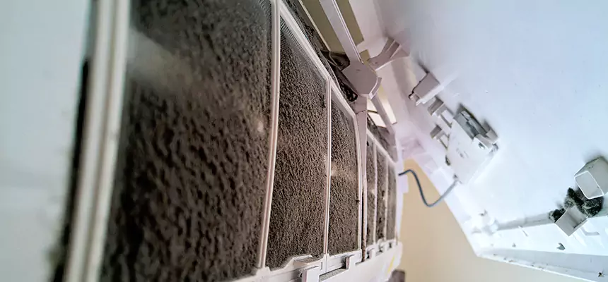 Preventive Air Duct Bacteria Removal in North Valley Stream