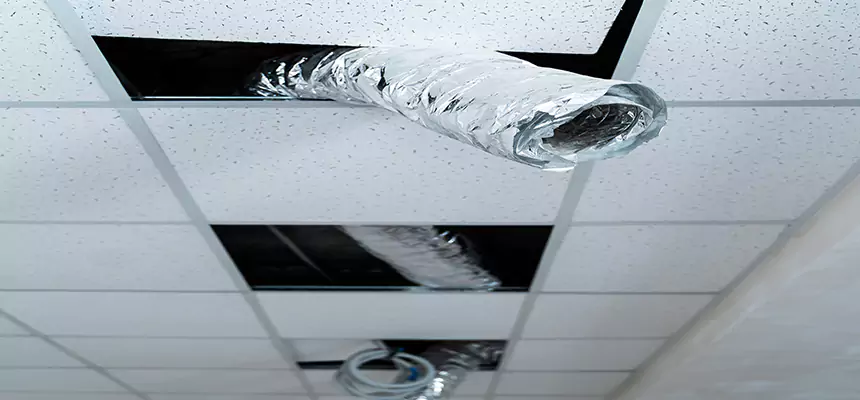 Affordable HVAC Sanitizing After Pest Removal in North Valley Stream