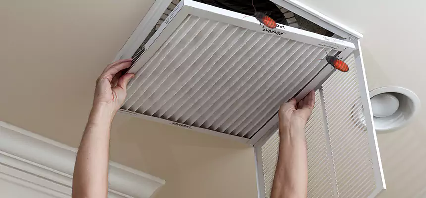Our Insect Removal from Air Ducts Services in North Valley Stream, NY