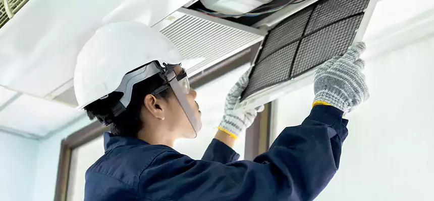 Our Mold & Mildew Removal from Air Ducts Services in North Valley Stream, NY