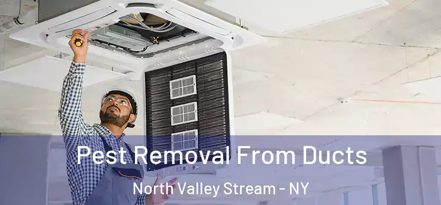  Pest Removal From Ducts North Valley Stream - NY