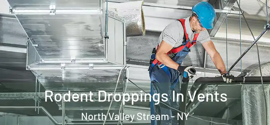 Rodent Droppings In Vents North Valley Stream - NY