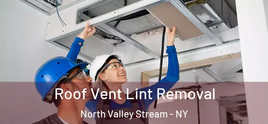  Roof Vent Lint Removal North Valley Stream - NY
