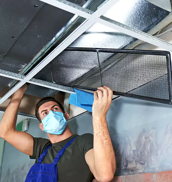 Professional Air Duct Pollen Cleaning in North Valley Stream, NY