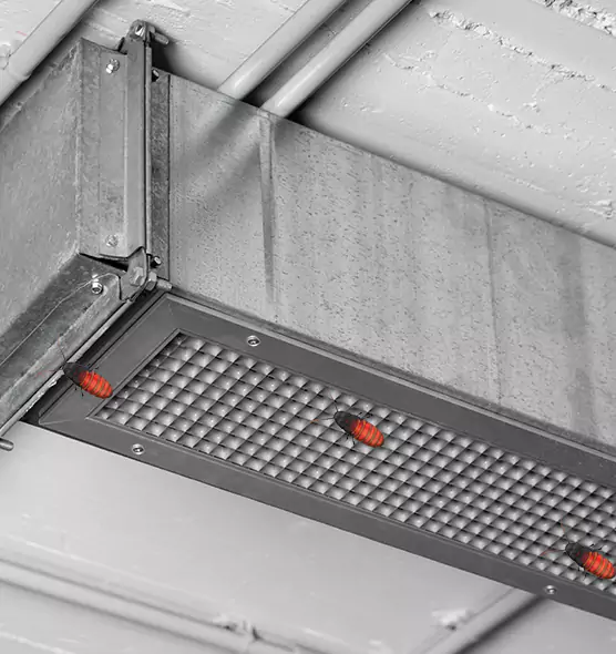 Affordable Insect Removal from Air Ducts in North Valley Stream, NY